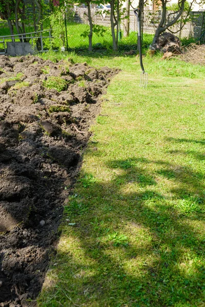 Çelik bahçe çatalıyla bahçede çimenlik temizleme.