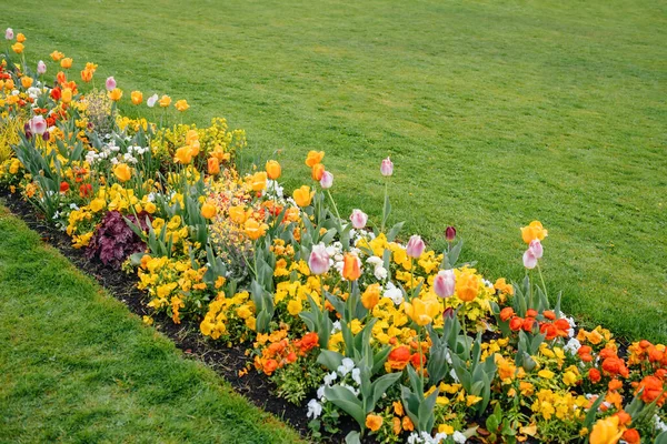 Image of a colorful yellow red green flower bed — 스톡 사진