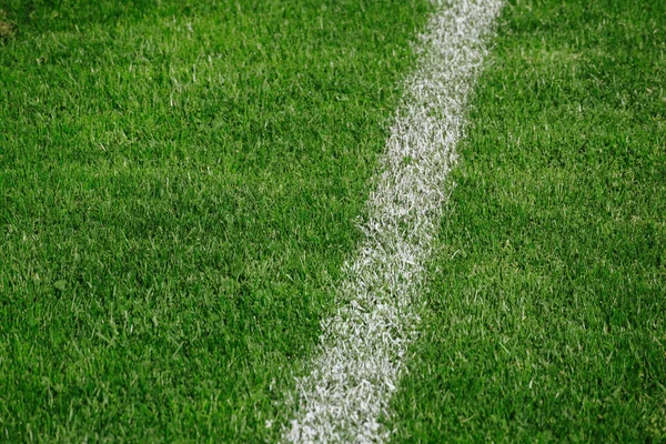 Close up of football soccer field on a sunny day with new turf with white marking line