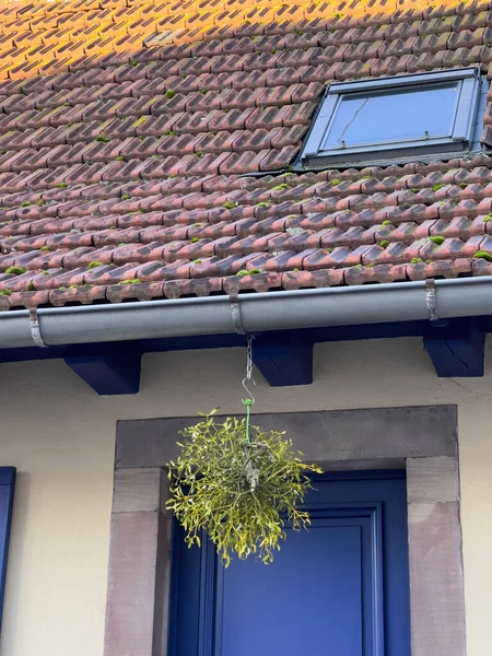 Hanged Christmas Natural Decoration Blue Luxury Door Rustic Village France — ストック写真