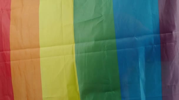 Bandeira Lgbtq Representa Homossexual Orgulho Gay Bandeira Arco Íris Acenando — Vídeo de Stock