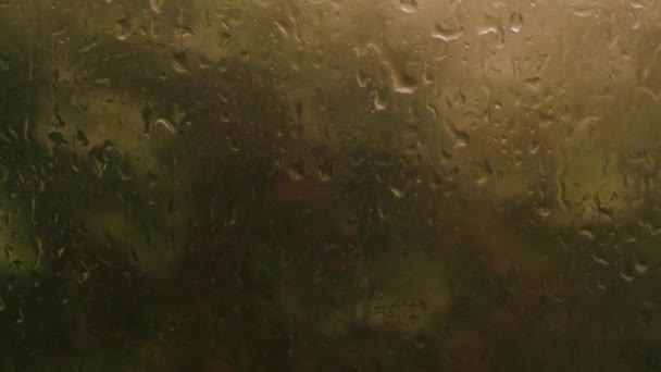 Regentropfen Fensternachmittag Eigentumswohnung Oder Wohnung Wohnzimmer Fenstergarten Der Regenzeit Vor — Stockvideo