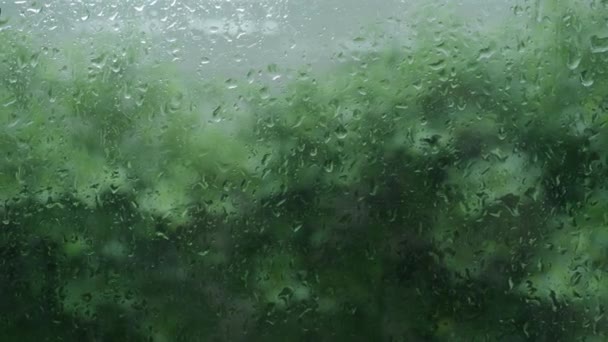 오후에는 내렸습니다 우기에는 아파트 창문에는 내리고 자연목 하늘은 푸르게 빗방울 — 비디오