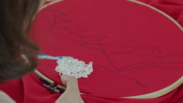 Bordar Costura Mano Mujer Trabajo Artesanal Manos Femeninas Trabajos Artesanía — Vídeo de stock