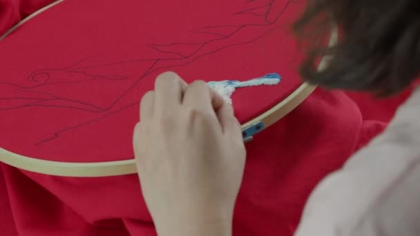 Nähen Von Hand Kunsthandwerk Und Frauenhände Handarbeit Fadennadel Stricken Stickrahmen — Stockvideo