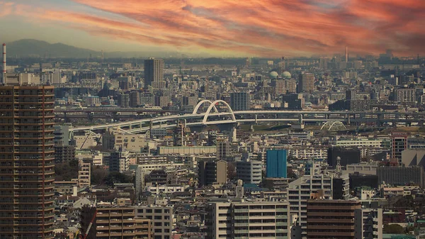 池袋地区 池袋の空中風景東京都 池袋地区のビル群を俯瞰 近代的なショッピングセンターオフィスや住宅が立ち並ぶ観光名所 — ストック写真