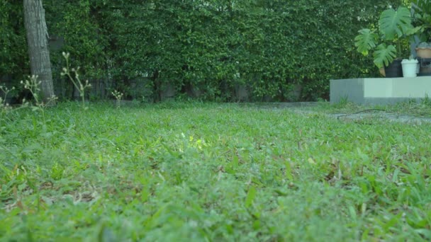 Een Elektrische Grasmaaier Man Privé Tuin Met Grasmaaiers Statisch Schot — Stockvideo