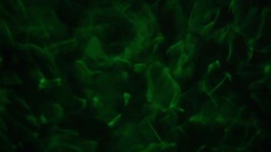 Bulanık sualtı görüntüleri. Yüzeydeki renk ışığı su dalgalanmasının ya da dalgalanmanın altında. Su altı veya duman hissini temsil ediyor. Sarhoşken ya da musallat olurken rahatına bak. Görüntü bulanık.