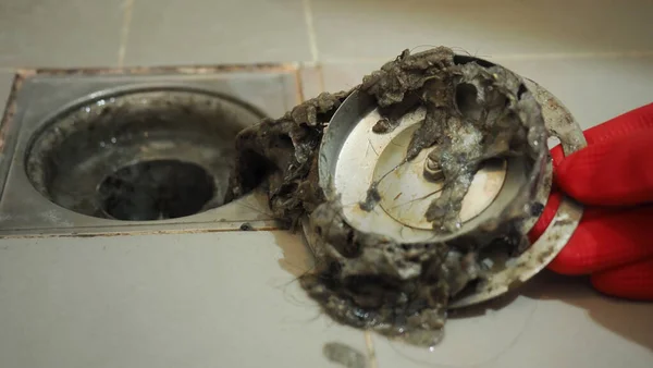 Drain cleaning. Clogged and dirty sewer pipes floor drain. Full of hair and accumulated clogged grease. Maintenance the floor drain sewage system in bathroom. fixing clean wash and unclog a drain.