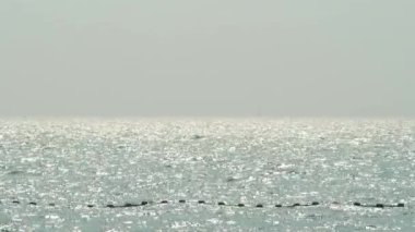 Deniz dalgaları ve mavi gökyüzü. Rüzgârla dalgalanan deniz. Mavi deniz dalgası. Tayland 'ın ünlü deniz mekanlarından biri olan Pattaya plajı. Denizdeki yat limanı limanı. Tatili rahatlatıcı bir şekilde temsil et. Statik Kamera.