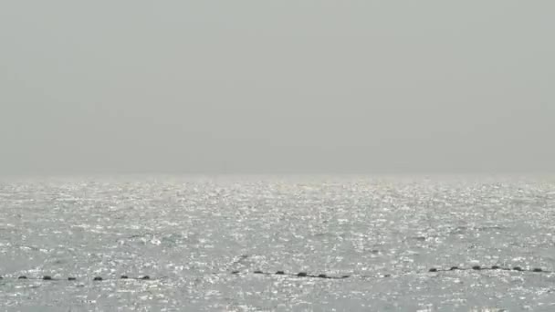 海の波と青空 海の風によって手を振る 青い海の波紋 タイの有名な海の場所の1つであるパタヤビーチ 海のヨットマリーナポート リラックスした休暇を表す スタティックカメラ — ストック動画