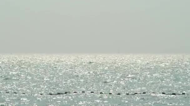 海の波と青空 海の風によって手を振る 青い海の波紋 タイの有名な海の場所の1つであるパタヤビーチ 海のヨットマリーナポート リラックスした休暇を表す スタティックカメラ — ストック動画