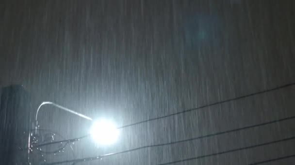 Βρέχει Νύχτα Και Φως Πλάνα Βροχή Σταγόνες Πτώση Μέσα Στη — Αρχείο Βίντεο