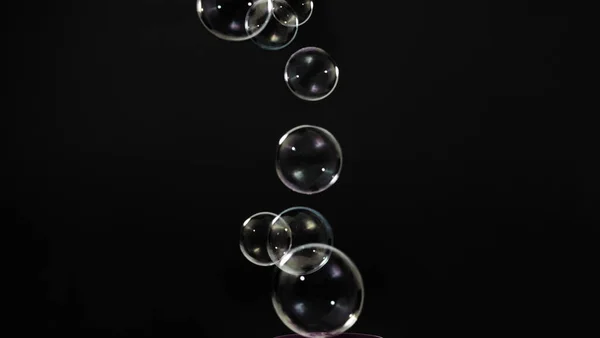 Soap Bubble Drop Shampoo Bubbles Floating Flying Air Black Background — 스톡 사진