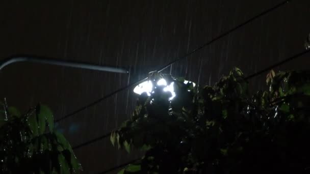 Notte Pioggia Luce Riprese Gocce Pioggia Caduta Notte Bangkok Thailandia — Video Stock