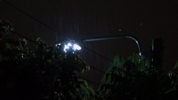 Pluie Nuit Lumière Images Rain Drops Tombant Nuit Bangkok Thaïlande — Video