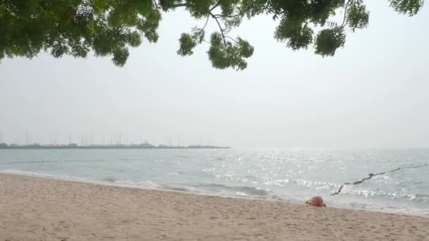 Beach Sand Sea Pattaya Beach Which One Famous Sea Locations — Stok video
