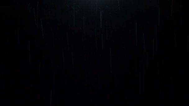 Night Rain Loop Rain Drops Falling Rainy Season Real Rain — Vídeo de stock