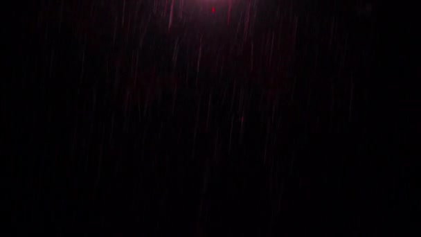 Night Rain Loop Rain Drops Falling Rainy Season Real Rain — Stockvideo