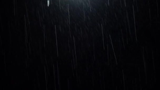 Night Rain Loop Rain Drops Falling Rainy Season Real Rain — стоковое видео