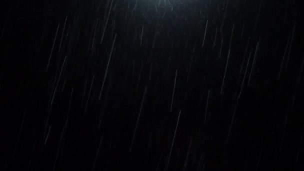 Night Rain Loop Rain Drops Falling Rainy Season Real Rain — Αρχείο Βίντεο