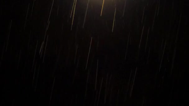 Night Rain Loop Rain Drops Falling Rainy Season Real Rain — Stockvideo
