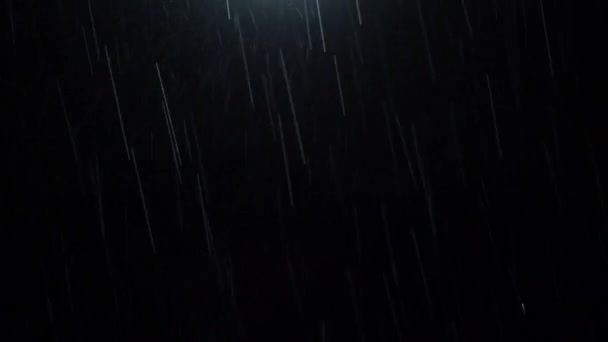 Night Rain Loop Rain Drops Falling Rainy Season Real Rain — Video Stock