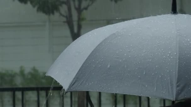 雨落在灰色的雨伞上 晚上在曼谷的雨中 雨伞是银色的 雨点落在雨伞上 代表恶劣的冬季雨季或保护 雨中的人和伞 — 图库视频影像