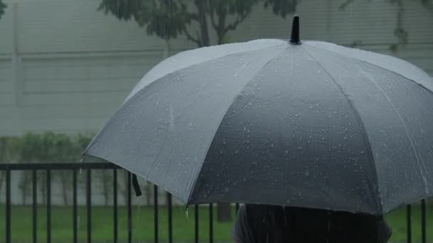 Pioggia Sull Ombrello Grigio Ombrello Argento Sotto Pioggia Sera Bangkok — Video Stock
