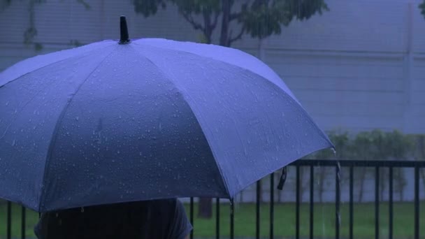 Дождь Серый Зонтик Серебряный Зонтик Дождём Вечером Бангкоке Капли Дождя — стоковое видео