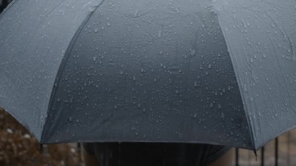 Eső Szürke Esernyőre Ezüst Esernyő Esténként Bangkokban Esik Esőcsepp Esernyőn — Stock videók