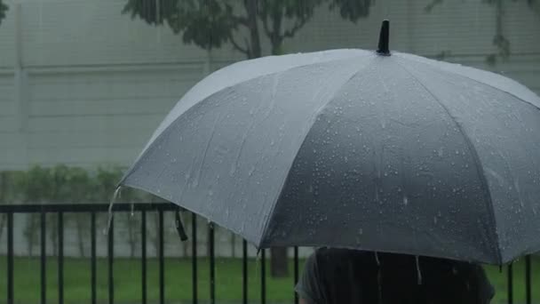 Βροχή Γκρι Ομπρέλα Ασημένια Ομπρέλα Στη Βροχή Βράδυ Μπανγκόκ Σταγόνες — Αρχείο Βίντεο