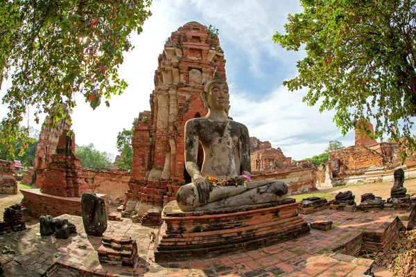 Sedící buddha — Stock fotografie