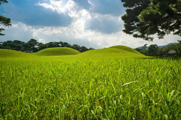 Hill gravar — Stockfoto