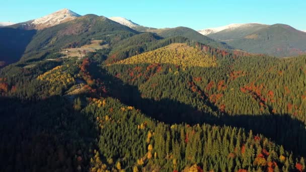 Latanie nad pięknymi jesiennymi wzgórzami wsi i kolorowe góry świecące jasnym rankiem. Widok z lotu ptaka kolorowy sezon jesienny. Karpaty, Ukraina. — Wideo stockowe