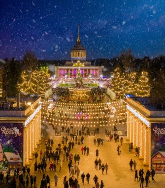 Night photos Christmas tree, festivities in the park in Kiev