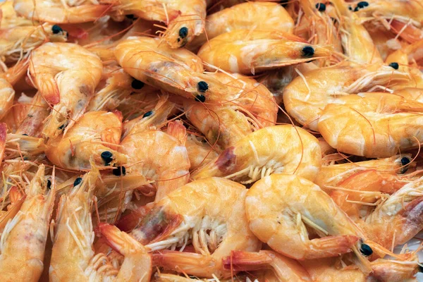 Shrimps background texture. A lot of sea shrimp. Sea food like shrimp or krill on the street food festival.