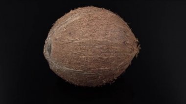 Coconut on a black background rotates close-up