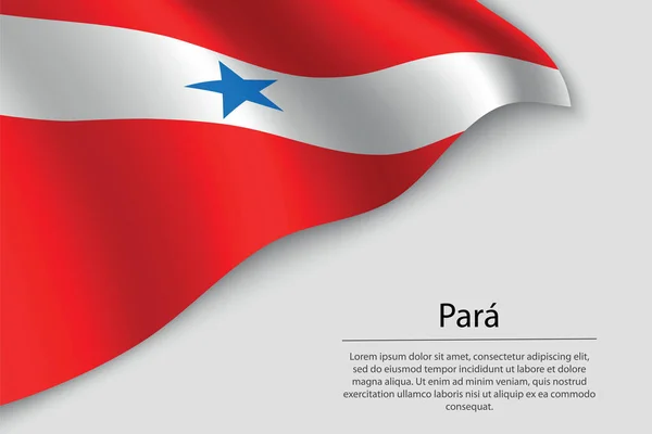 Die Flagge Von Para Ist Ein Bundesstaat Brasiliens Banner Oder — Stockvektor