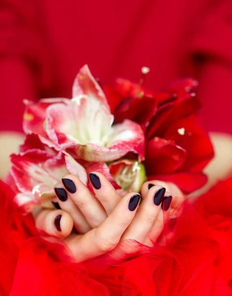 Woman beautiful hands with manicure holding flowers on red — Stock Photo, Image