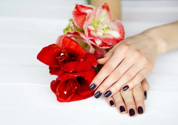 Mãos da mulher do cuidado do corpo com manicure e vista superior das flores — Fotografia de Stock