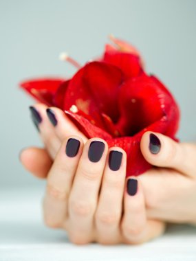 manos ahuecadas con manicura con vista lateral flor rojaManikür kırmızı çiçek yan görünüm holding ile götürdü eller