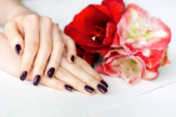 Manicure de spa com flores vermelhas e brancas — Fotografia de Stock