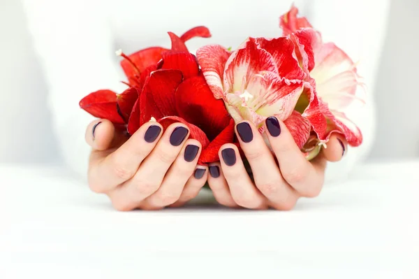 Hände mit schöner Maniküre, die helle Blumen auf weißem Grund halten — Stockfoto