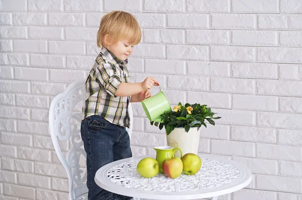 Kind gießt eine Topfblume — Stockfoto