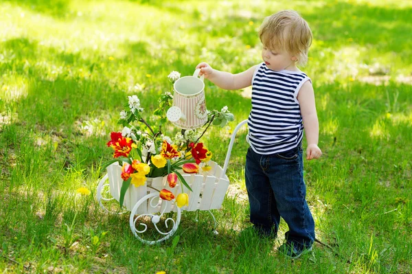 Bonito menino molhando flores coloridas — Fotografia de Stock
