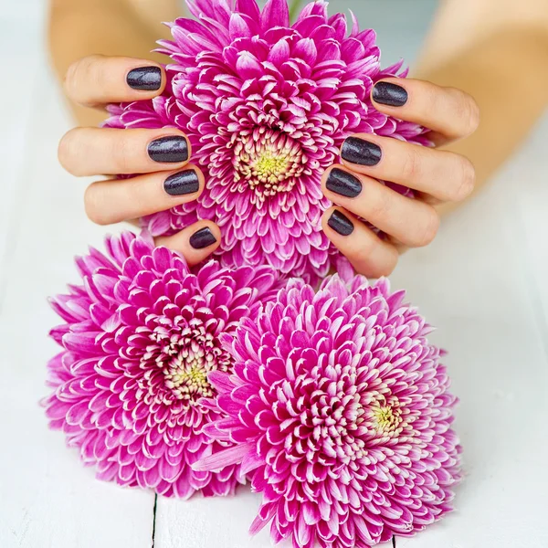 Mode donkere manicure en roze bloemen — Stockfoto