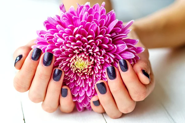 Руки з манікюром і рожева квітка — стокове фото