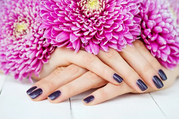 Mãos com manicure e flor rosa — Fotografia de Stock