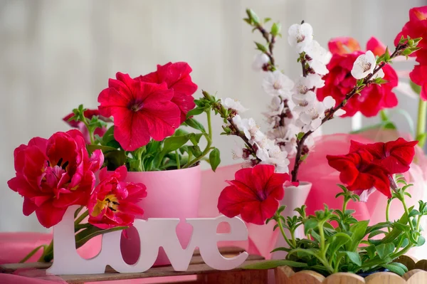 Blommande inredning — Stockfoto